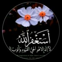user5591305570479