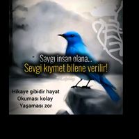 orijinal ses