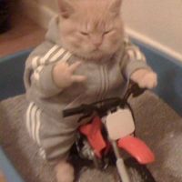 meownugg3t