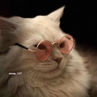 nona_117