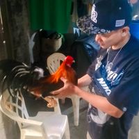 micodemonteverde8