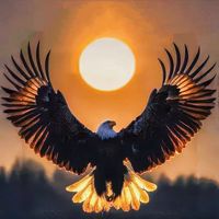 原声 - 万岛文化