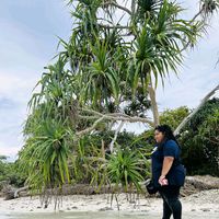 mauliofa986