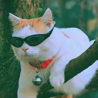 original sound - template_editsforyou