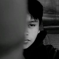 emerson_lem1