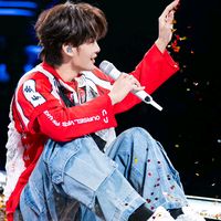 wangheyesdiarythfans