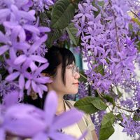 nhạc nền - Tớ là Sloth đây!