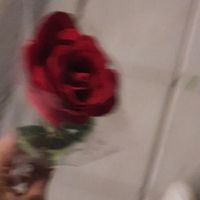 オリジナル楽曲 - きくちのおもち💜