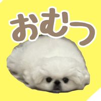 omutunoseitixyou