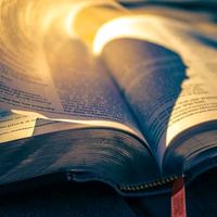 original sound - MyChorus