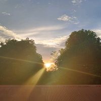 paincatcher_official