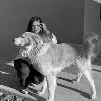 sofis_trikiss