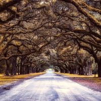 theloverlibrary