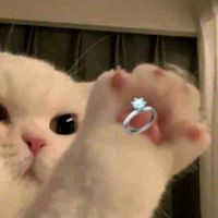 lari_ka103