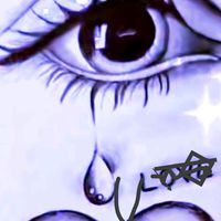 zulfahassan624