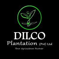 dilcoplantation