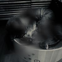 オリジナル楽曲 - ☆NECCHIRO☆