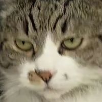 nxtbxllz
