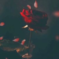 star_9_heart