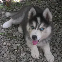 original sound - jjgb20