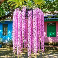 original sound - nang.nga4