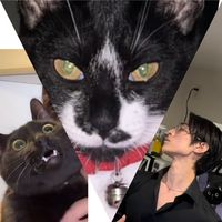 オリジナル楽曲 - 手豆🐈‍⬛🐈‍⬛🐈🙀🌱