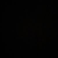 bryan.__1