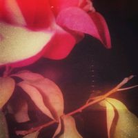 เสียงต้นฉบับ - ฟ้าหลังฝน🌬️