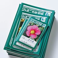 minnausotsuki