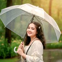 baifern_nica