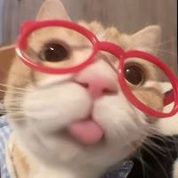 zada2_2