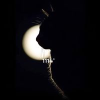 yelia1114