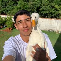 bosquedospatos