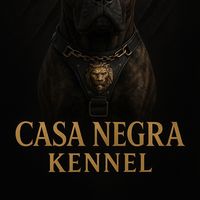 casa.negra_presacanario