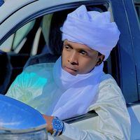 الصوت الأصلي