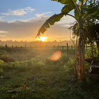 original sound - bannasto_