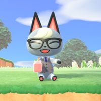 user8606588619527