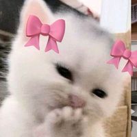 _merin_12