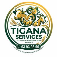 tiganaservices