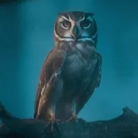 original sound - blalsalah2024214