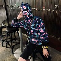 royontop