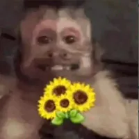 original sound - musicgema12