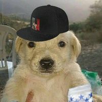 sonido original - Rolitas Random :v