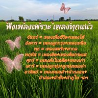 เสียงต้นฉบับ - ฟังเพลงเพราะ เพลงทุกแนว