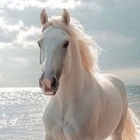 オリジナル楽曲 - ショウジ4141