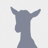 оригінальний звук