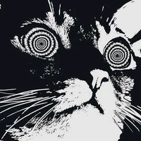 zwoxm_00