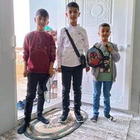 resul8433
