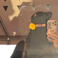 xnoyar
