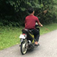 bunyi asal - 🦩